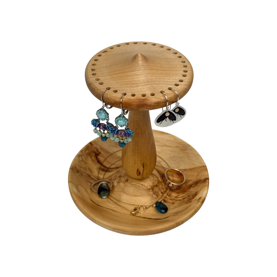Earring and Jewelry Holder