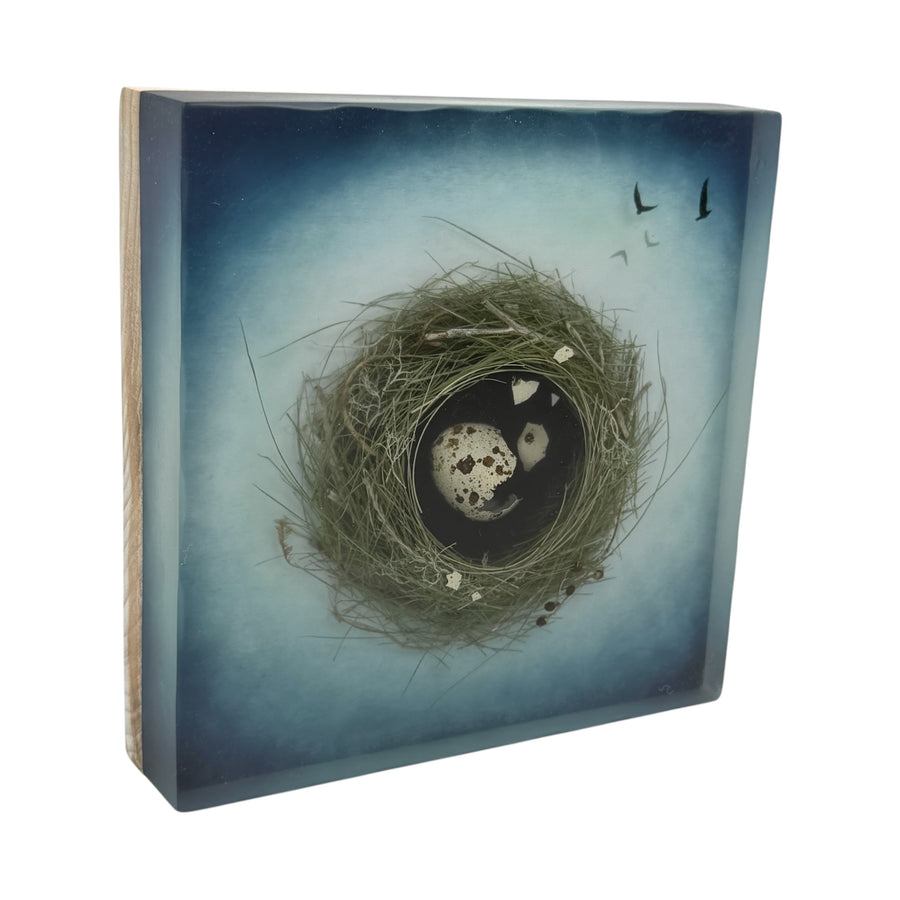 Hatch