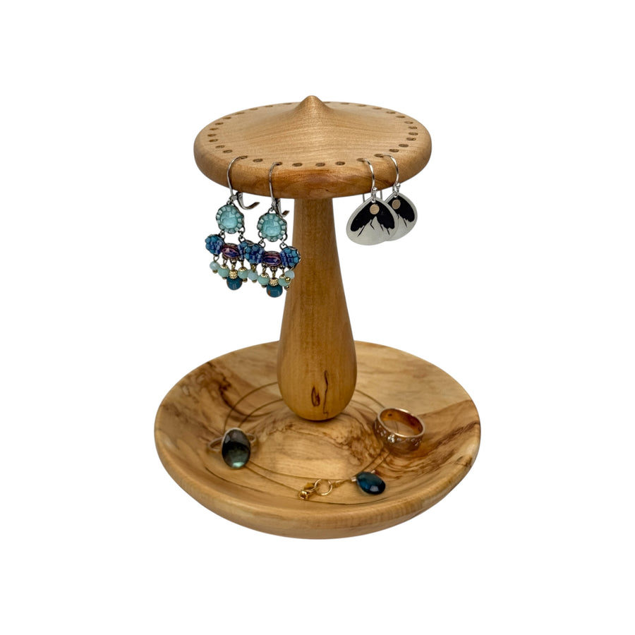 Earring and Jewelry Holder