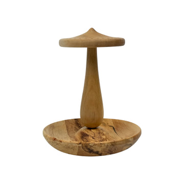 Earring and Jewelry Holder