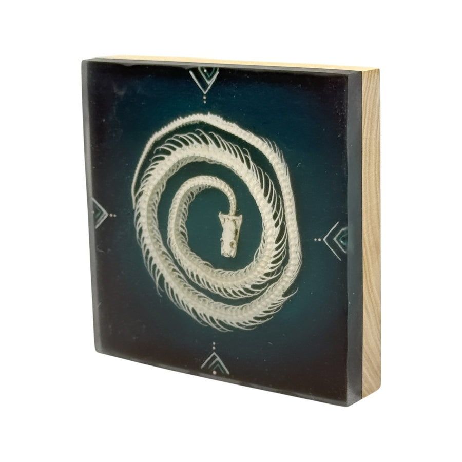 Coil