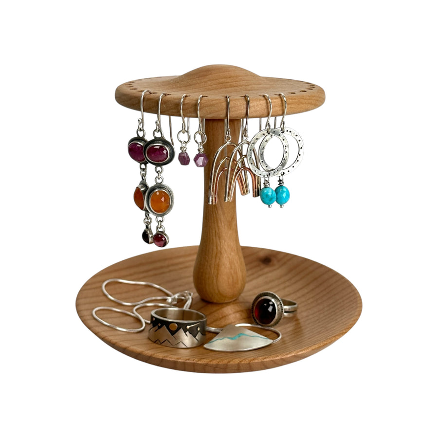 Earring and Jewelry Holder