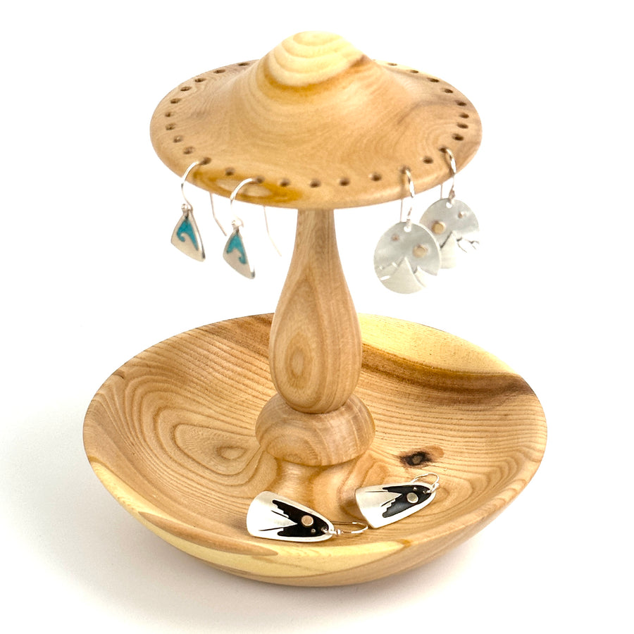Earring and Jewelry Holder