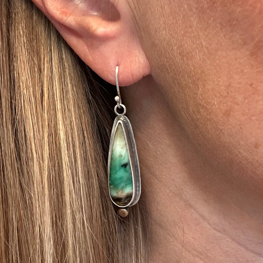 Earrings - Opalized Wood Fossil