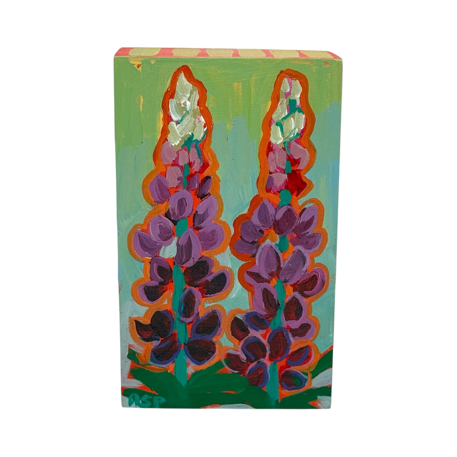 Lovely Lupine