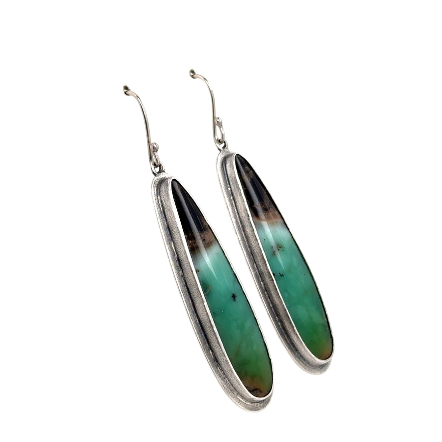 Earrings - Opalized Wood Fossil