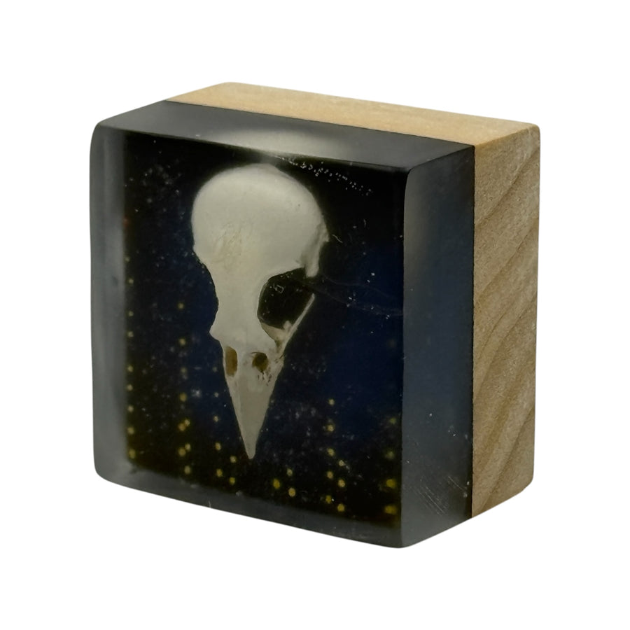 Skull
