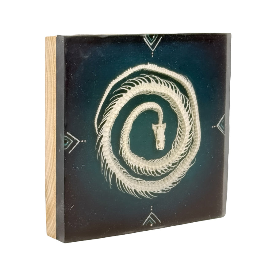 Coil