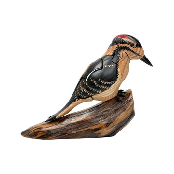 Downy Woodpecker Puzzle