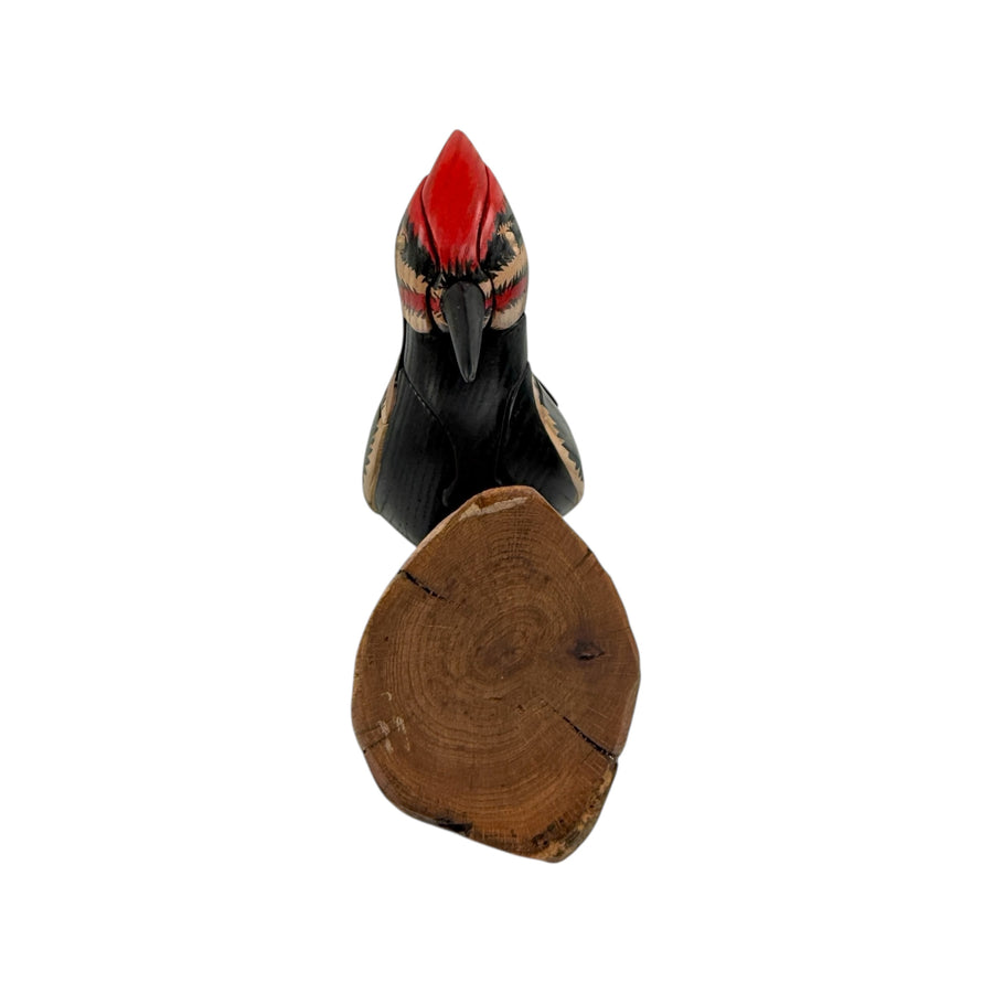 Pileated Woodpecker Puzzle
