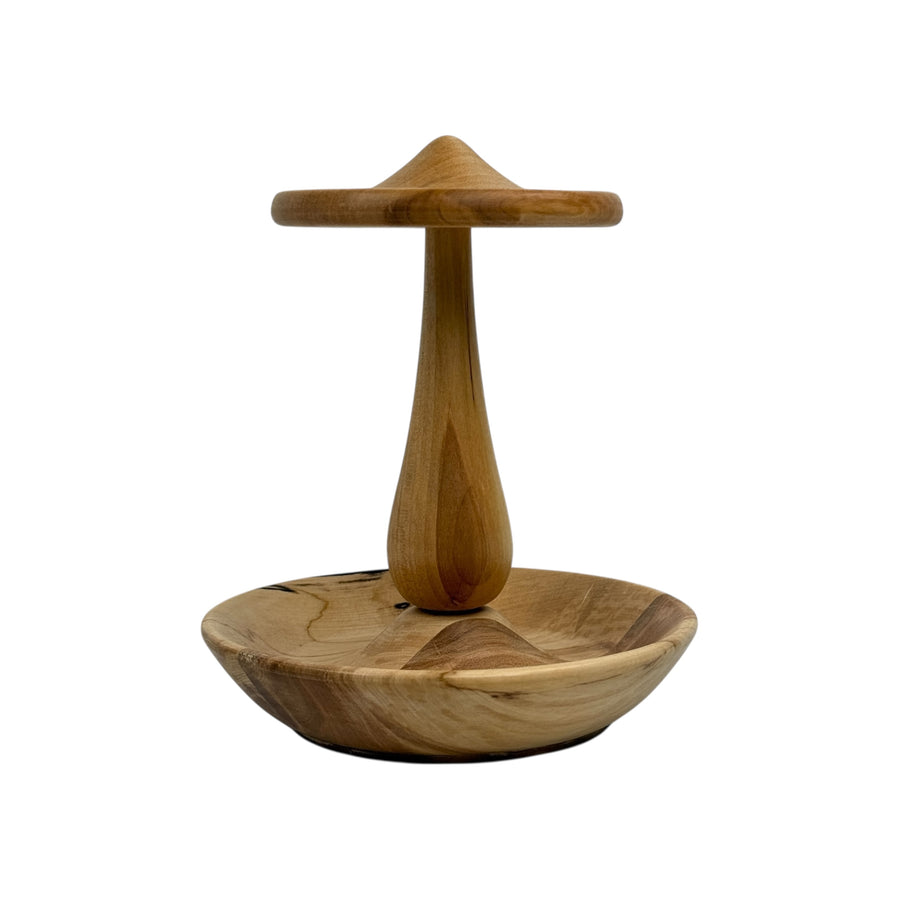 Earring and Jewelry Holder