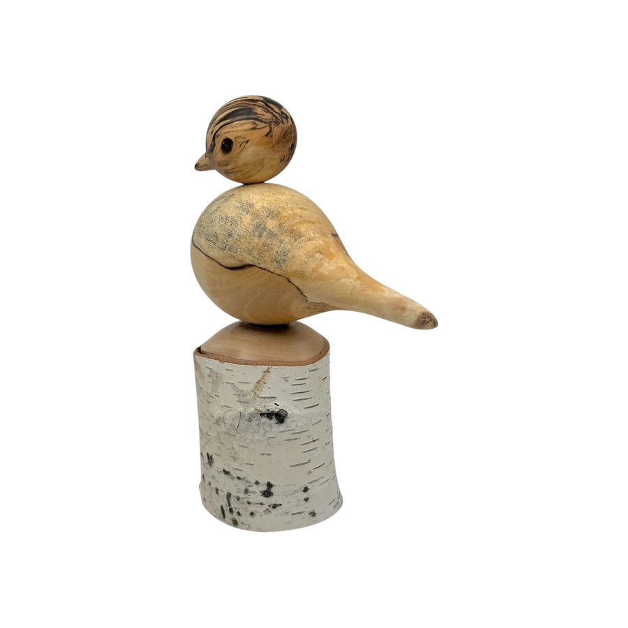 Bird on Perch