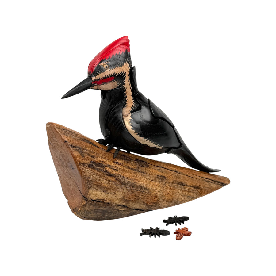 Pileated Woodpecker Puzzle