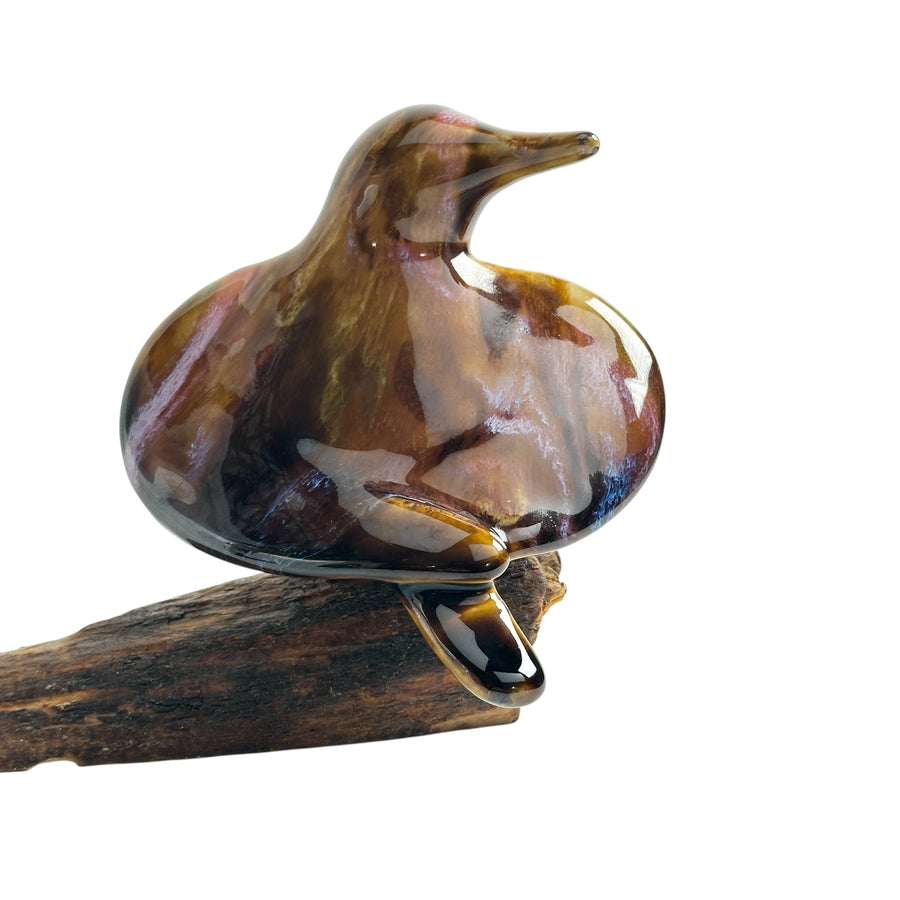 Bird - Tiger Eye #1290