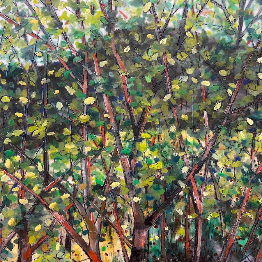 Story Mill Canopy