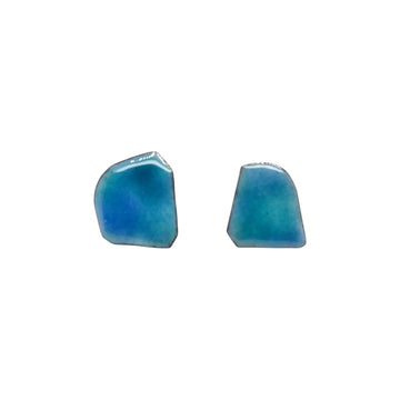 Enameled Stud Earrings