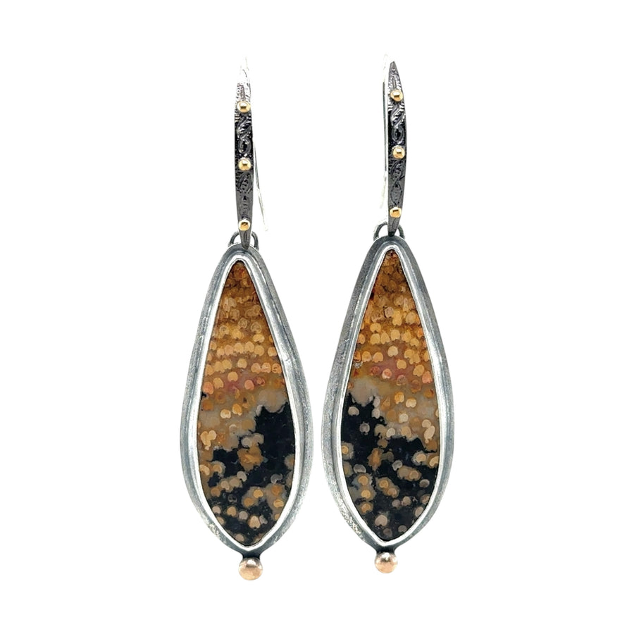 Earrings - Petrified Palm