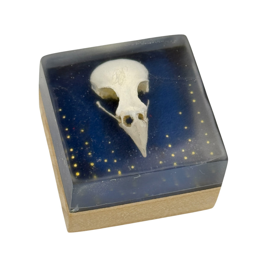 Skull
