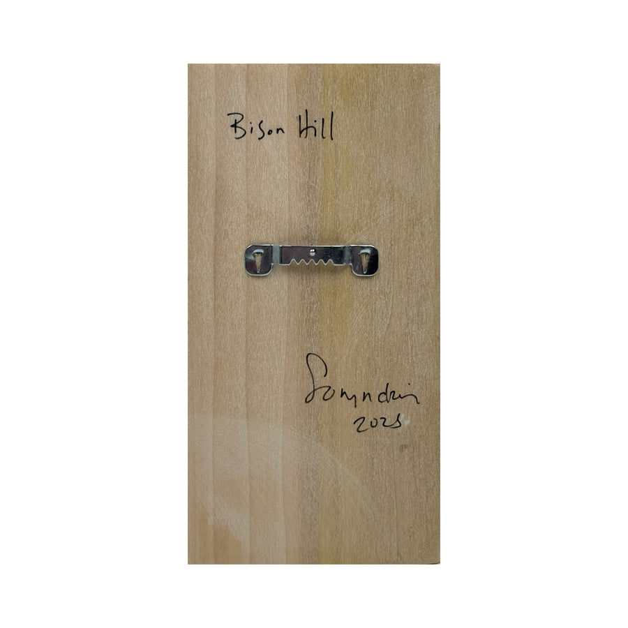 Bison Hill