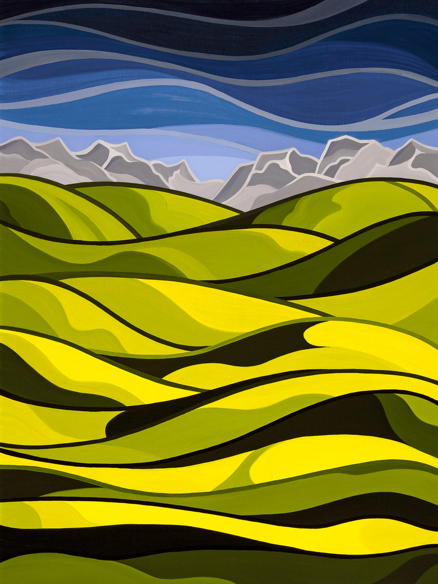 Canola Fields and 