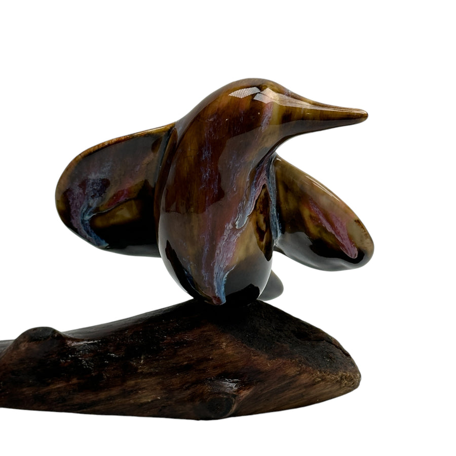 Bird - Tiger Eye #1212