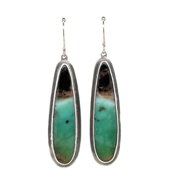 Earrings - Opalized Wood Fossil