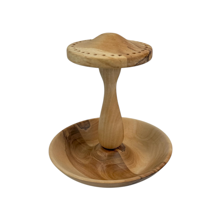 Earring and Jewelry Holder