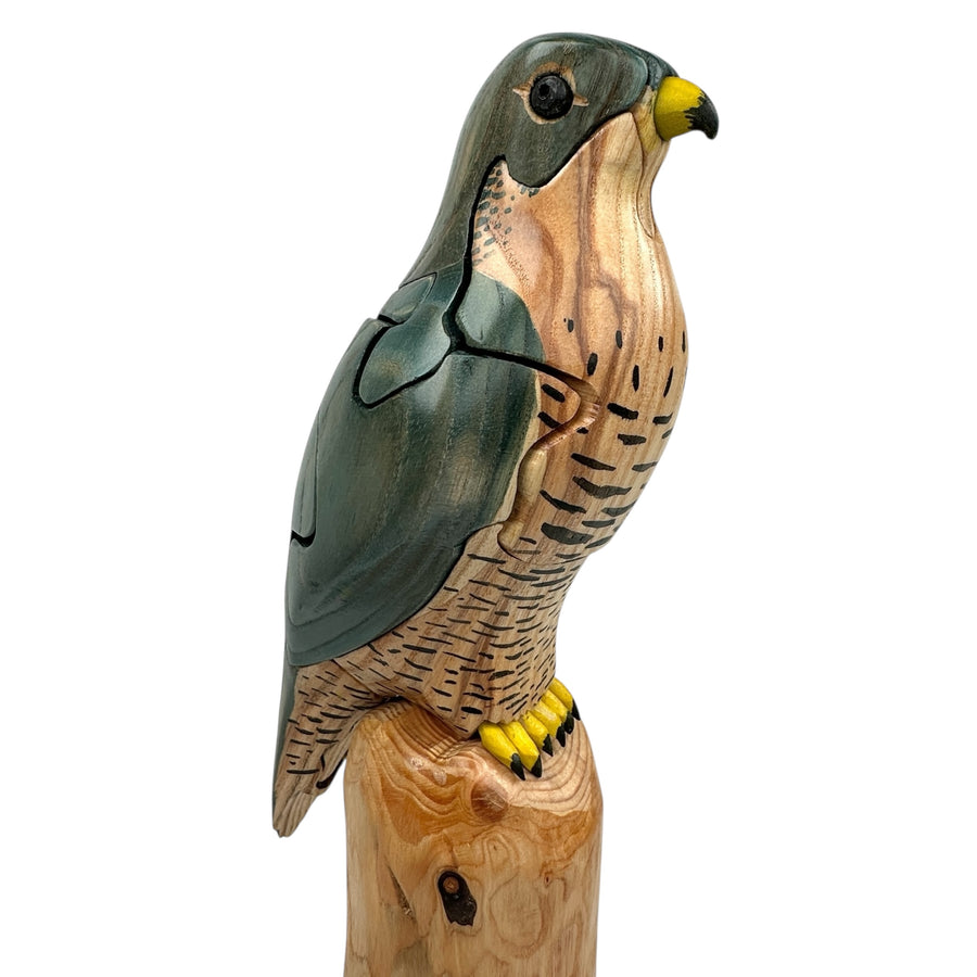 Peregrine Falcon Puzzle