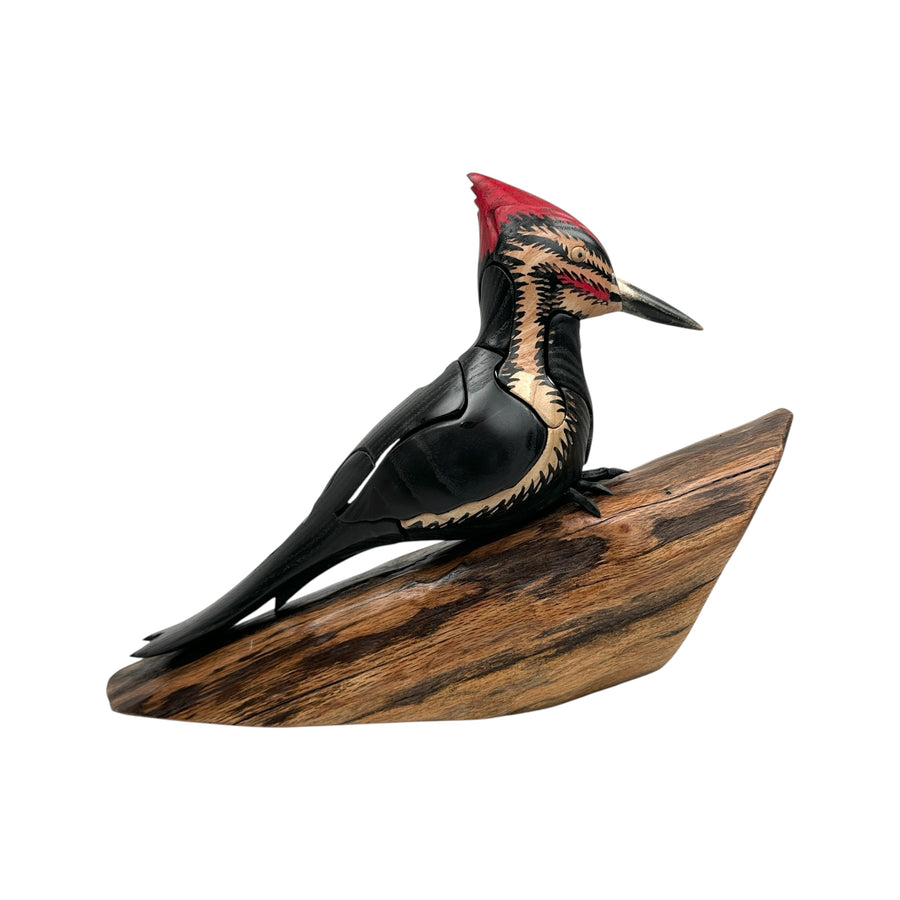 Pileated Woodpecker Puzzle