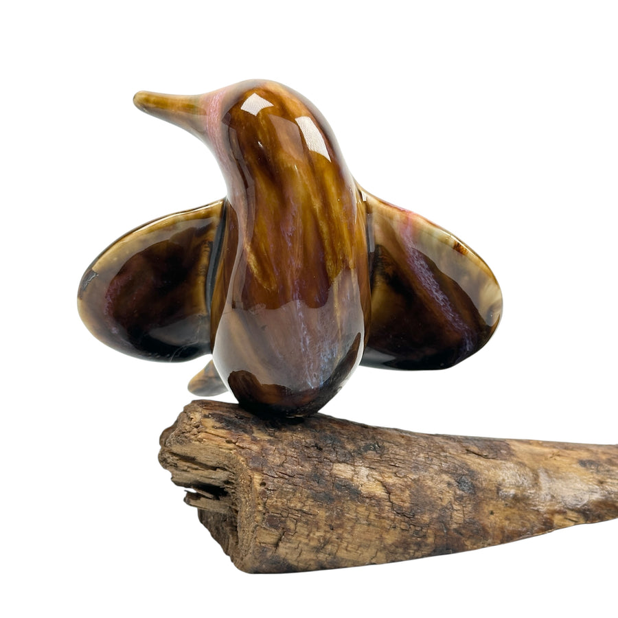 Bird - Tiger Eye #1290