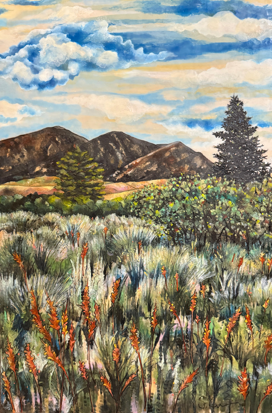 Grass and Sage - Burke Park