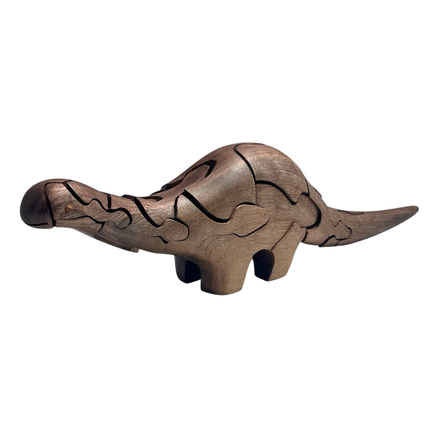 Brontosaurus Puzzle