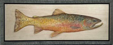 Greybull Series #1