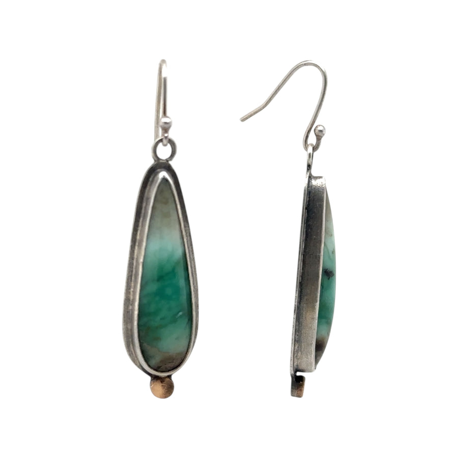Earrings - Opalized Wood Fossil