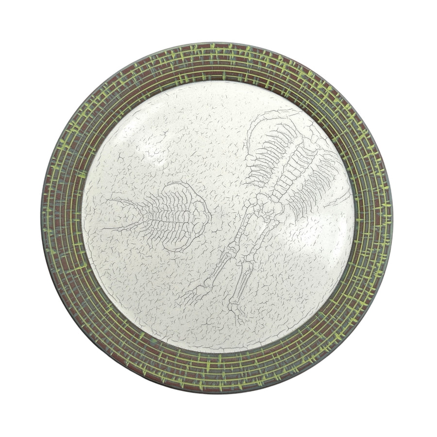 Dinner Plate with Bio-Evolution Patterns