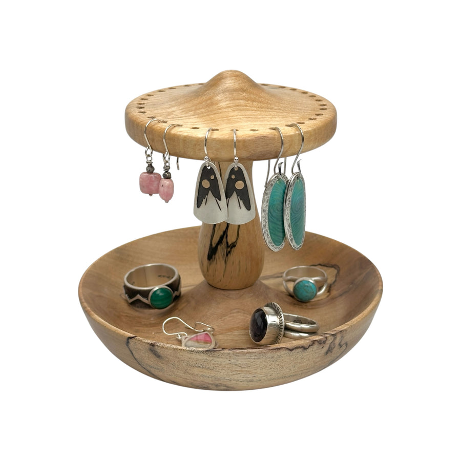 Earring and Jewelry Holder