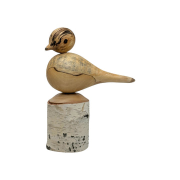 Bird on Perch