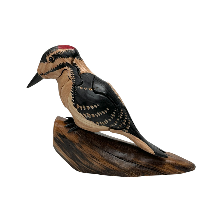 Downy Woodpecker Puzzle