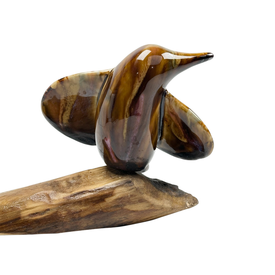 Bird - Tiger Eye #1289