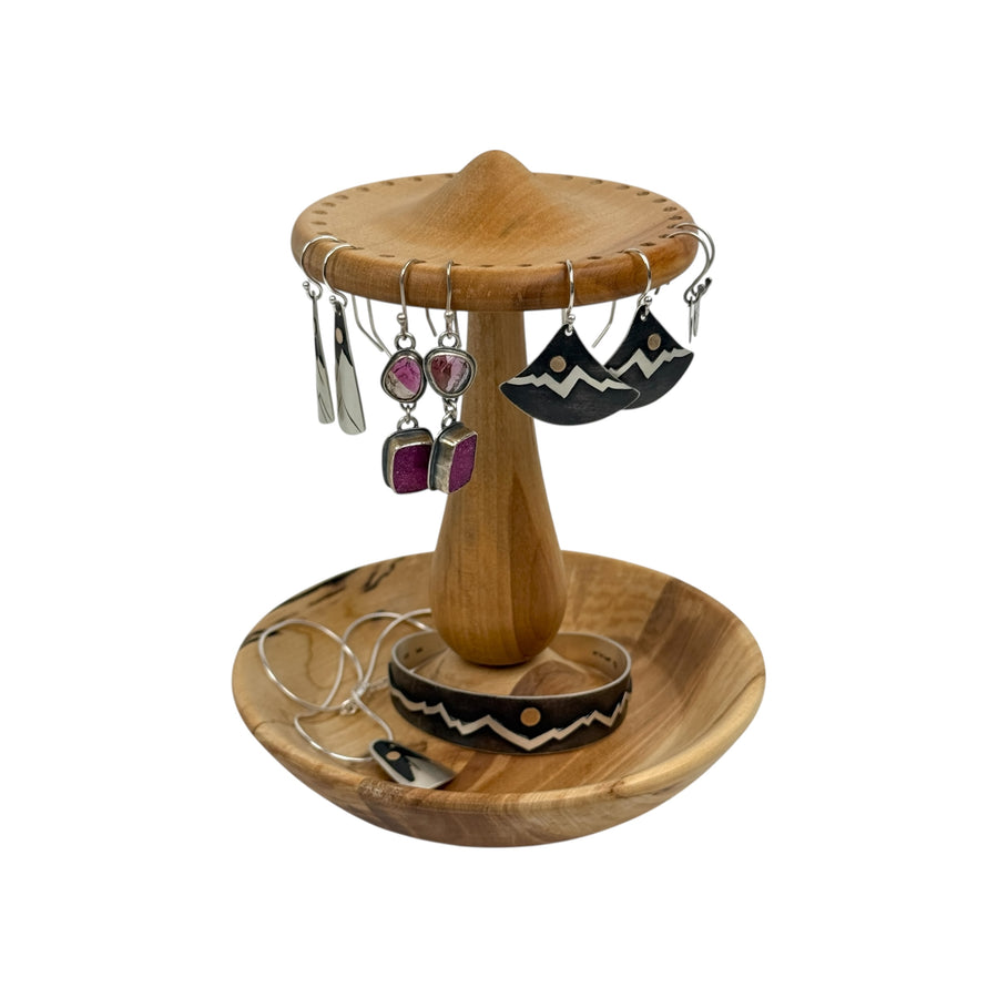 Earring and Jewelry Holder