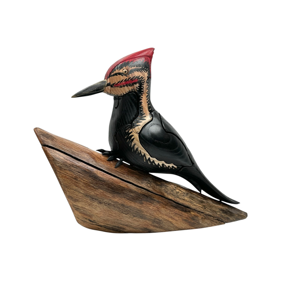Pileated Woodpecker Puzzle