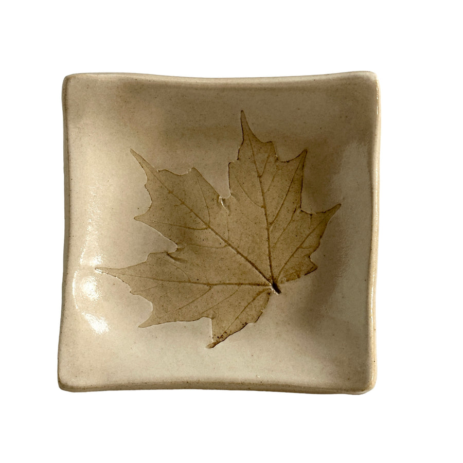 Soy Dish