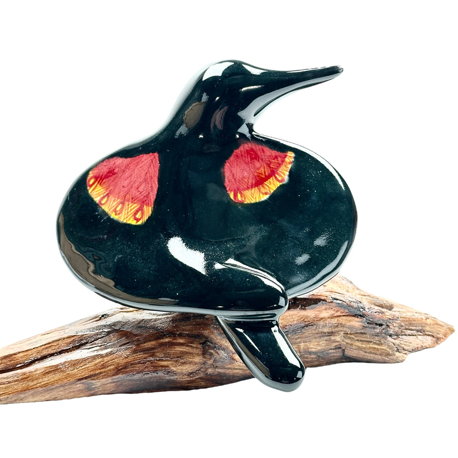Bird - Redwing Blackbird #1119