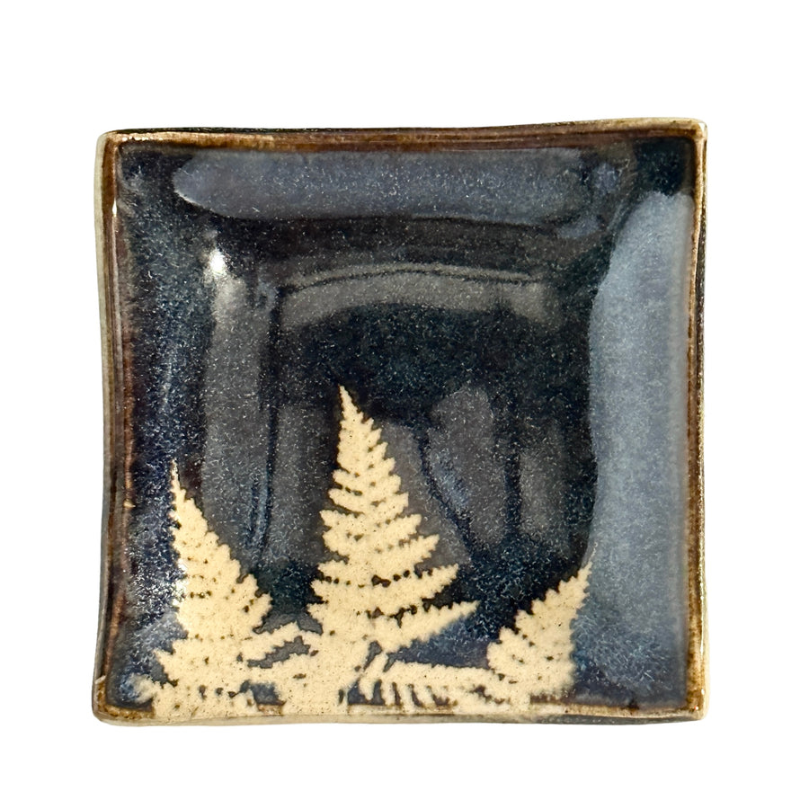Soy Dish
