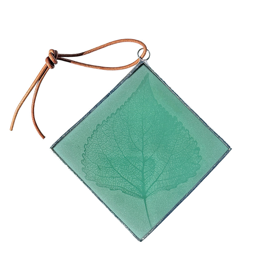 Etched Glass Suncatcher - Cottonwood Leaf