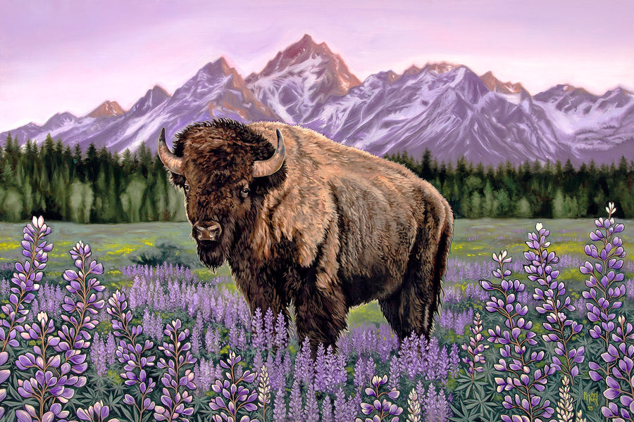 High Country Bison Original Painting