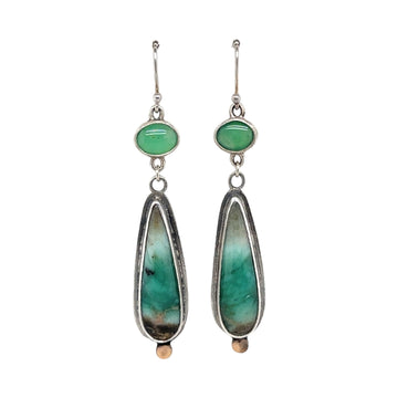 Earrings - Opalized Wood Fossil and Opal