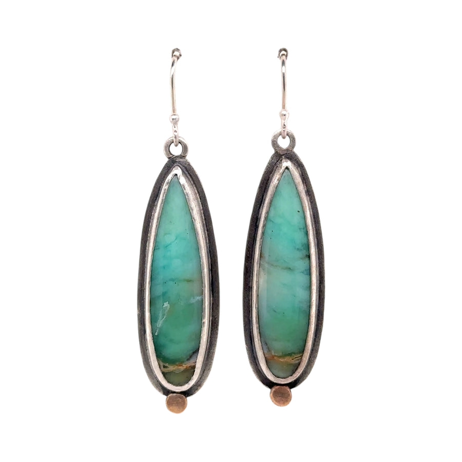 Earrings - Opalized Wood Fossil and Brass