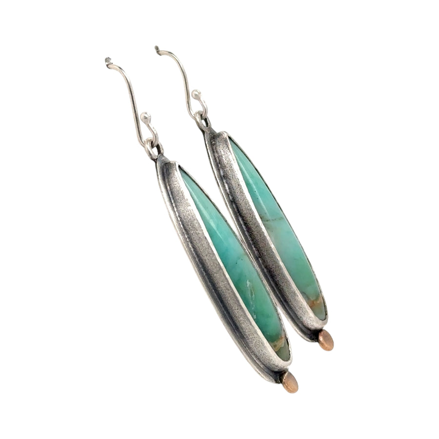 Earrings - Opalized Wood Fossil and Brass