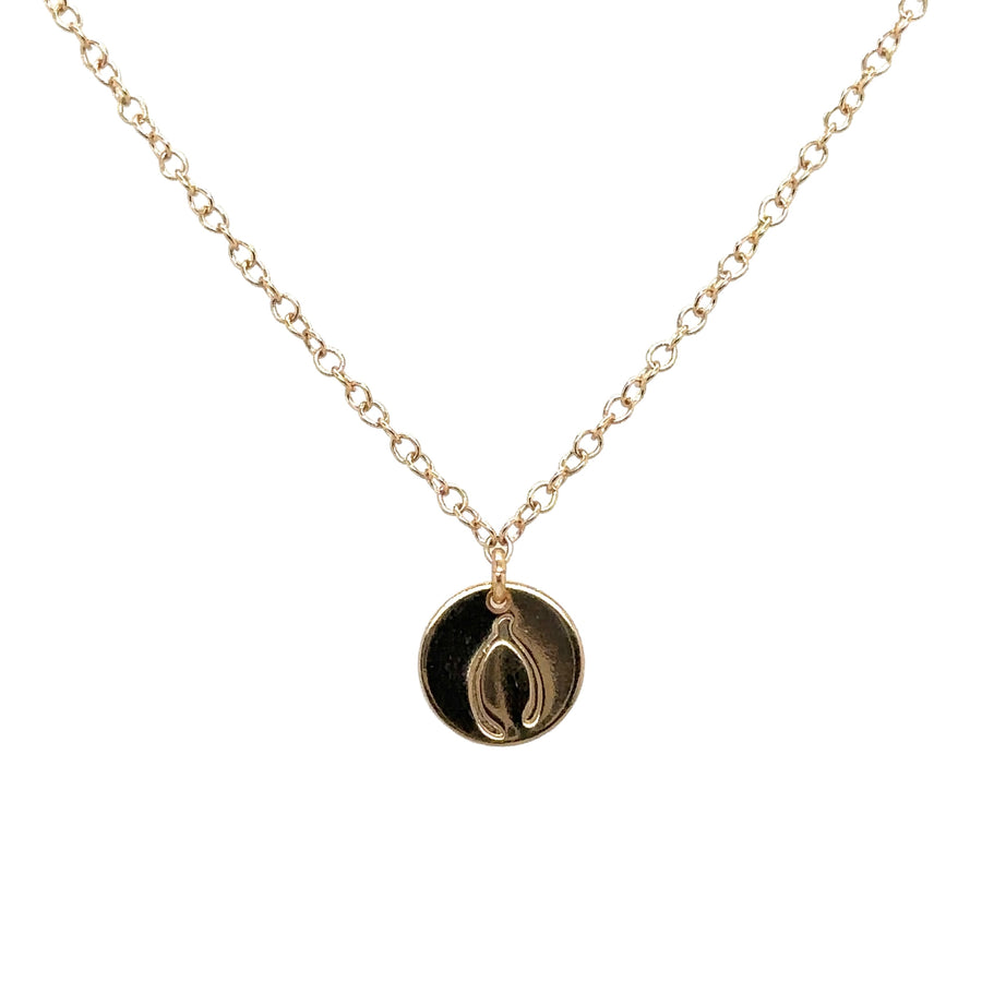 Necklace - Disk with Wishbone